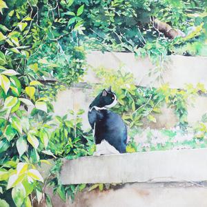 黑人和白人做爰
